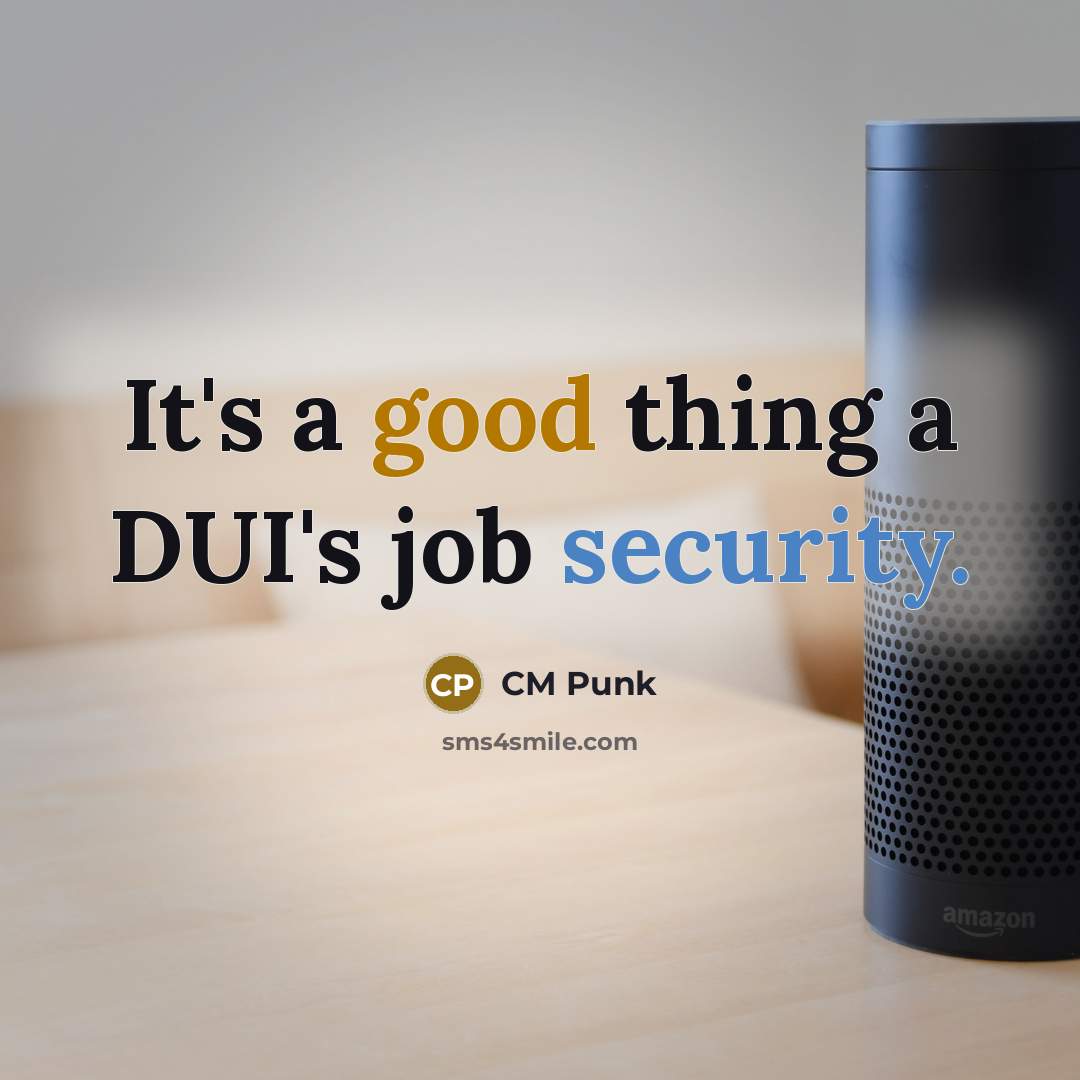 “It's a good thing a DUI's job security.” quote by CM Punk