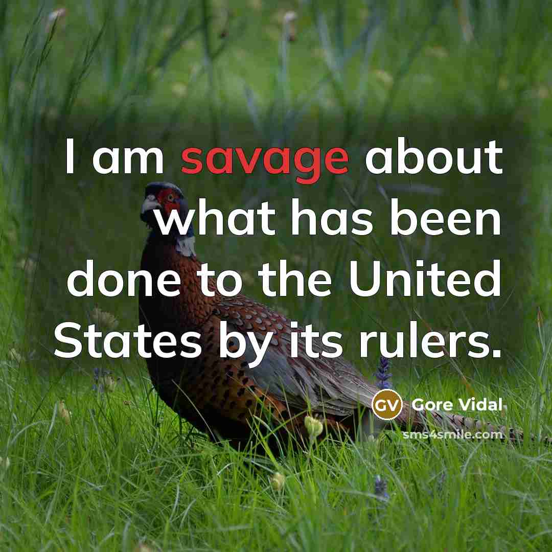 “I am savage about what has been done to the United States by its rulers.” quote by Gore Vidal