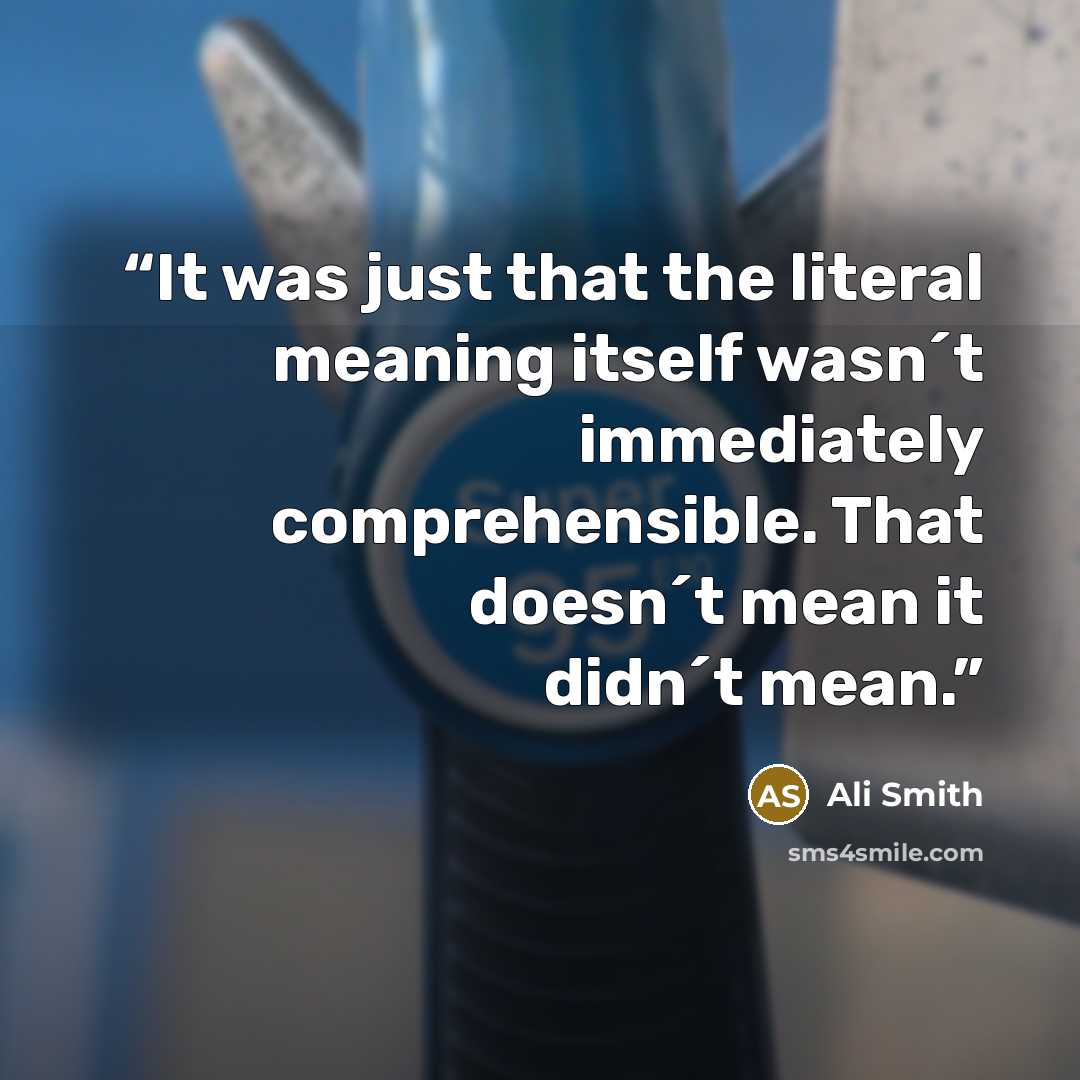 “It was just that the literal meaning itself wasn´t immediately comprehensible. That doesn´t mean it didn´t mean.” quote by Ali Smith