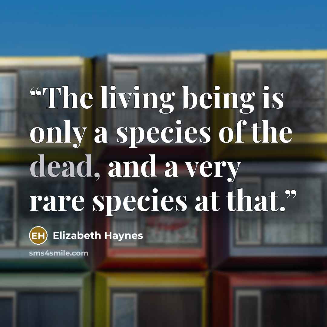 “The living being is only a species of the dead, and a very rare species at that.” quote by Elizabeth Haynes
