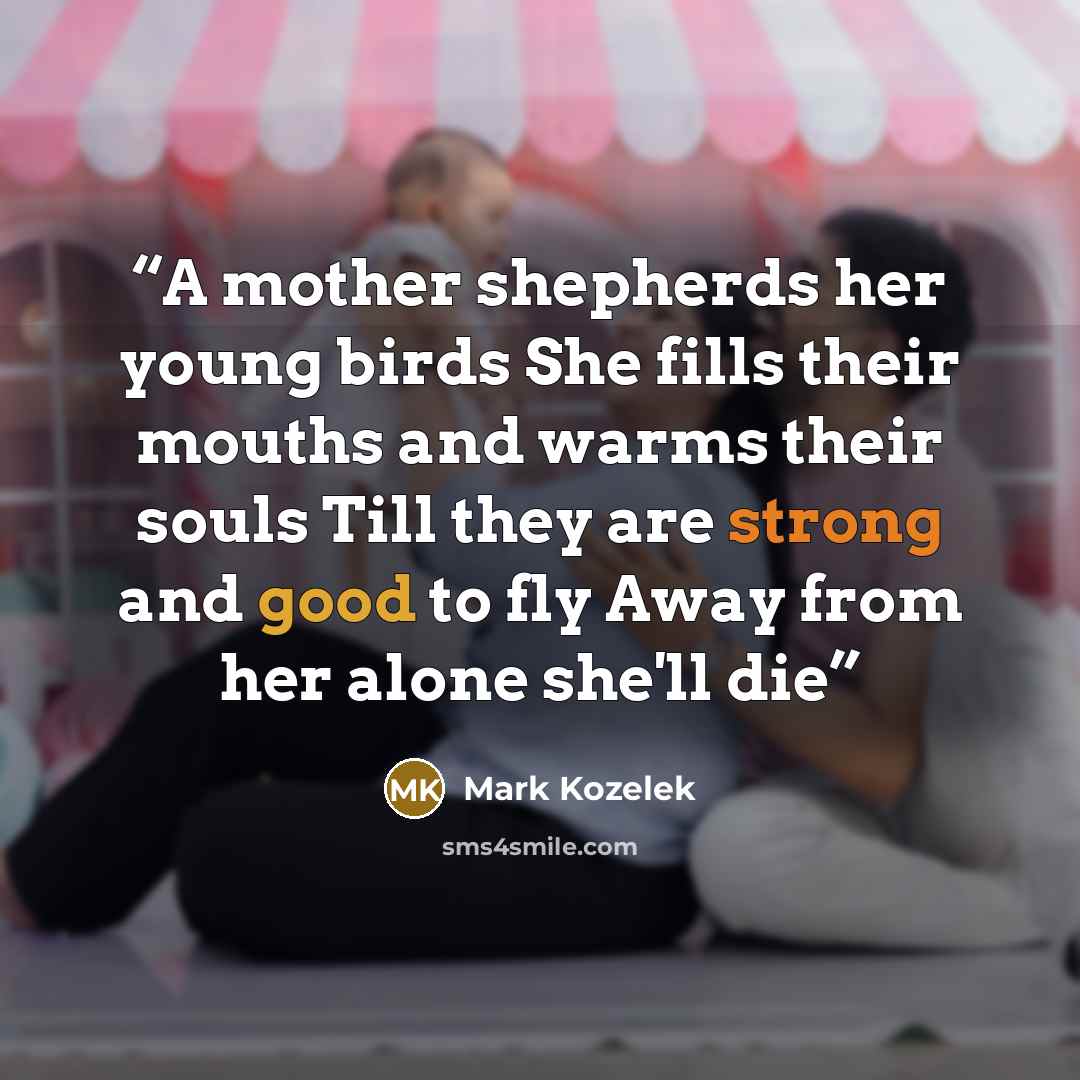 “A mother shepherds her young birds She fills their mouths and warms their souls Till they are strong and good to fly Away from her alone she'll die” quote by Mark Kozelek