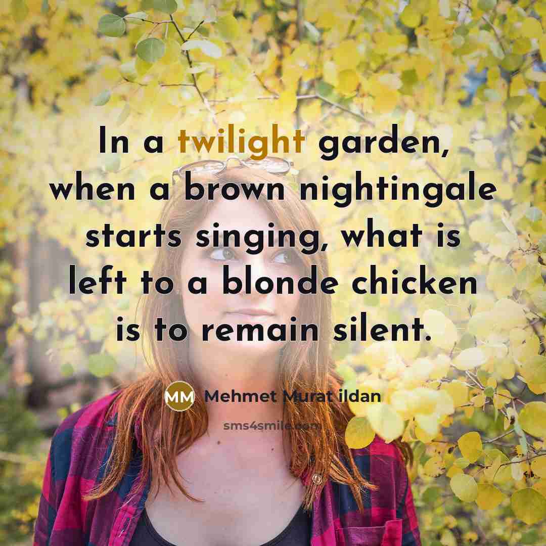 “In a twilight garden, when a brown nightingale starts singing, what is left to a blonde chicken is to remain silent.” quote by Mehmet Murat Ildan