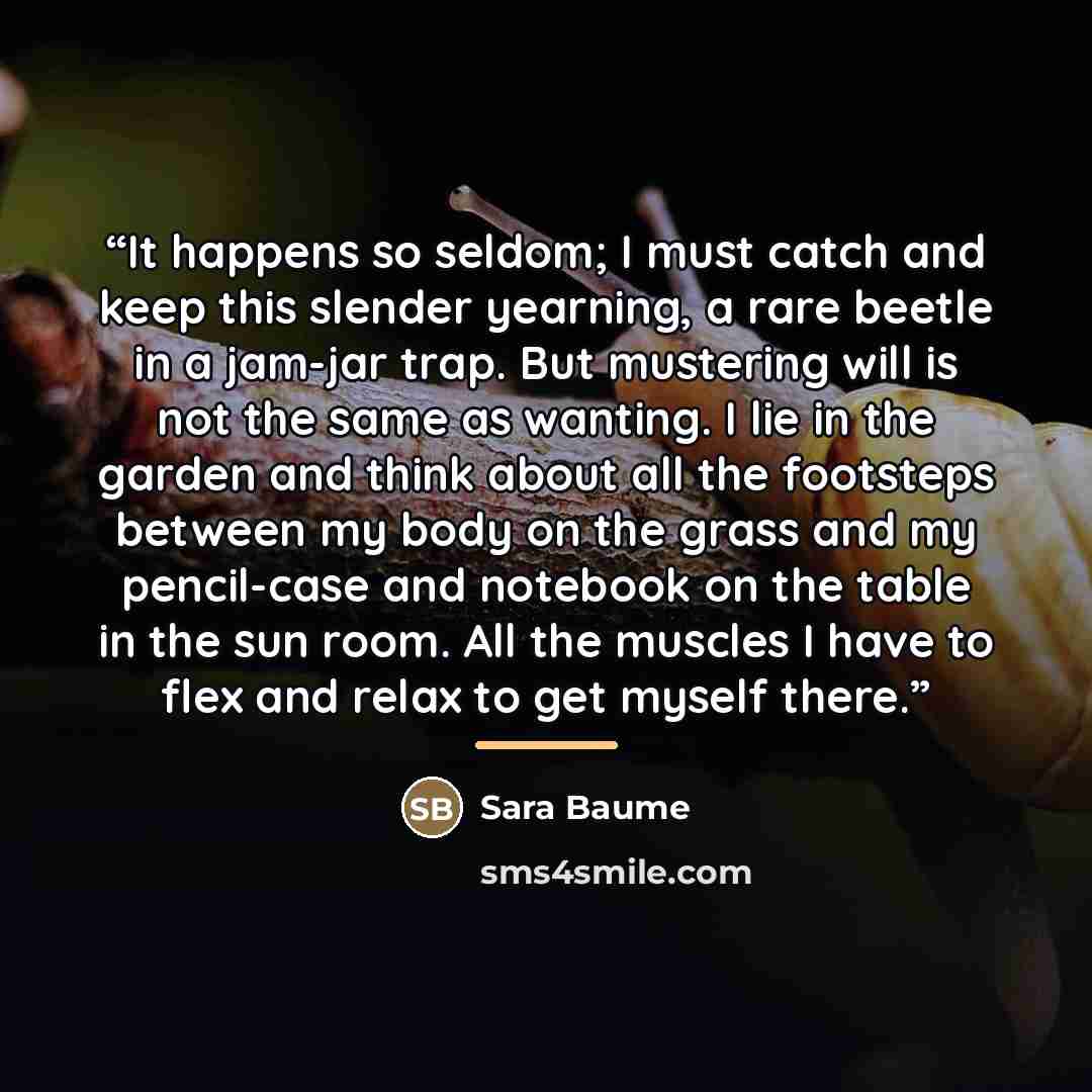 “It happens so seldom; I must catch and keep this slender yearning, a rare beetle in a jam-jar trap. But mustering will is not the same as wanting. I lie in the garden and think about all the footsteps between my body on the grass and my pencil-case and notebook on the table in the sun room. All…” quote by Sara Baume