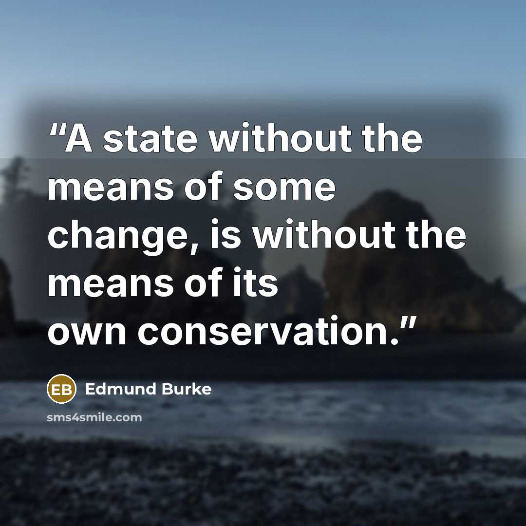 “A state without the means of some change, is without the means of its own conservation.” quote by Edmund Burke