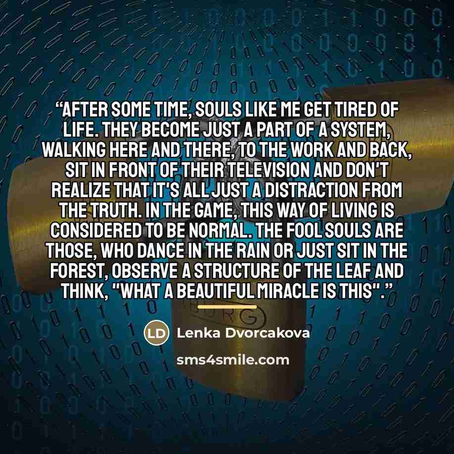 “After some time, souls like me get tired of life. They become just a part of a system, walking here and there, to the work and back, sit in front of their television and don't realize that it's all just a distraction from the truth. In the game, this way of living is considered to be normal. The…” quote by Lenka Dvorcakova