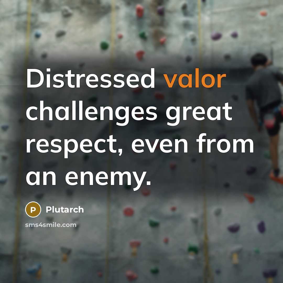 “Distressed valor challenges great respect, even from an enemy.” quote by Plutarch