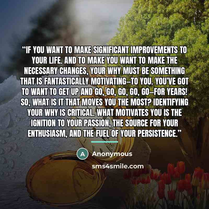 “if you want to make significant improvements to your life. And to make you want to make the necessary changes, your why must be something that is fantastically motivating—to you. You’ve got to want to get up and go, go, go, go, go—for years! So, what is it that moves you the most? Identifying your…” quote by Anonymous