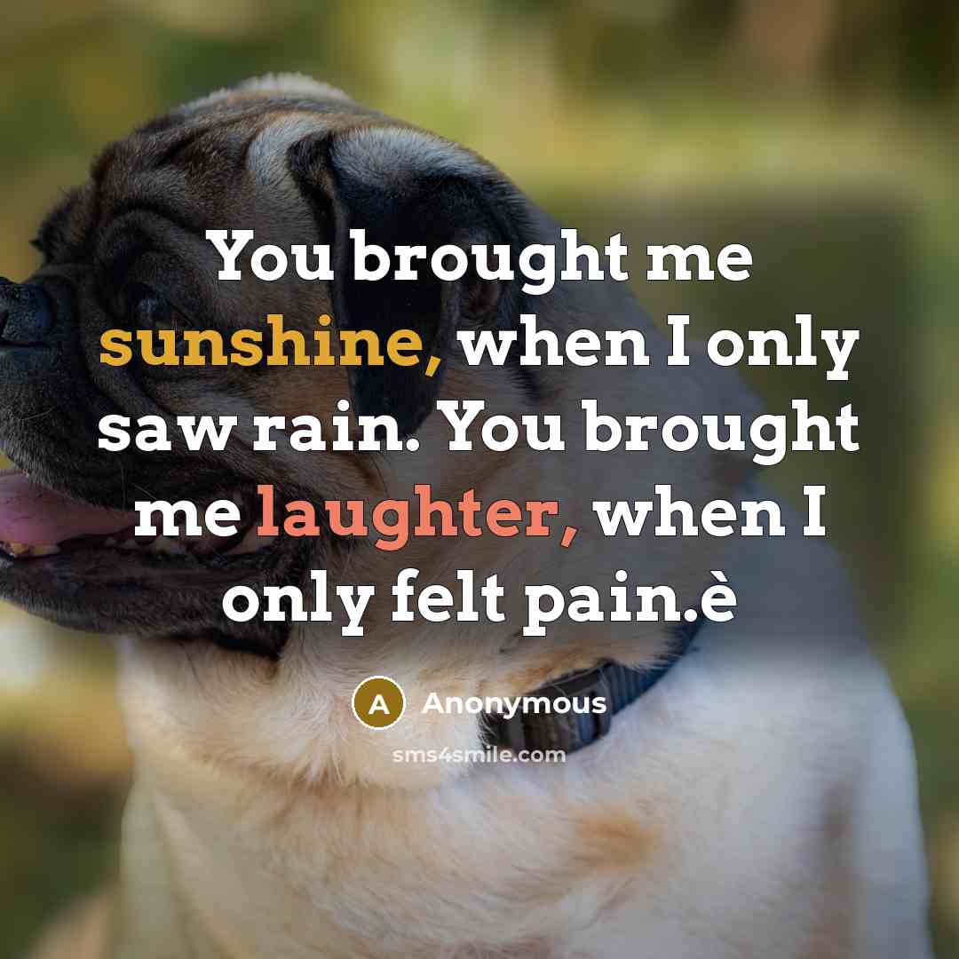 “You brought me sunshine, when I only saw rain. You brought me laughter, when I only felt pain.è” quote by Anonymous
