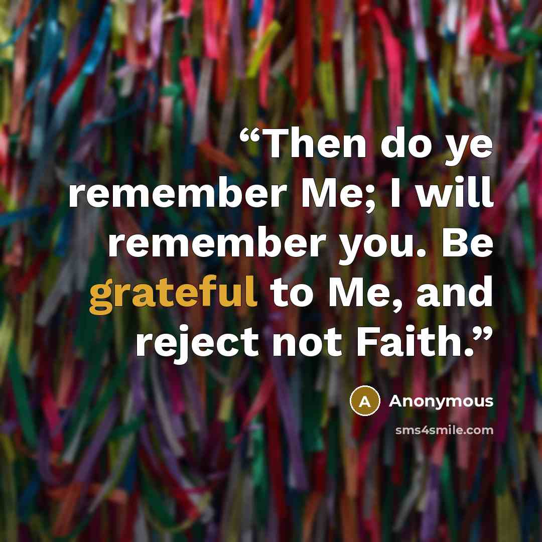 “Then do ye remember Me; I will remember you. Be grateful to Me, and reject not Faith.” quote by Anonymous