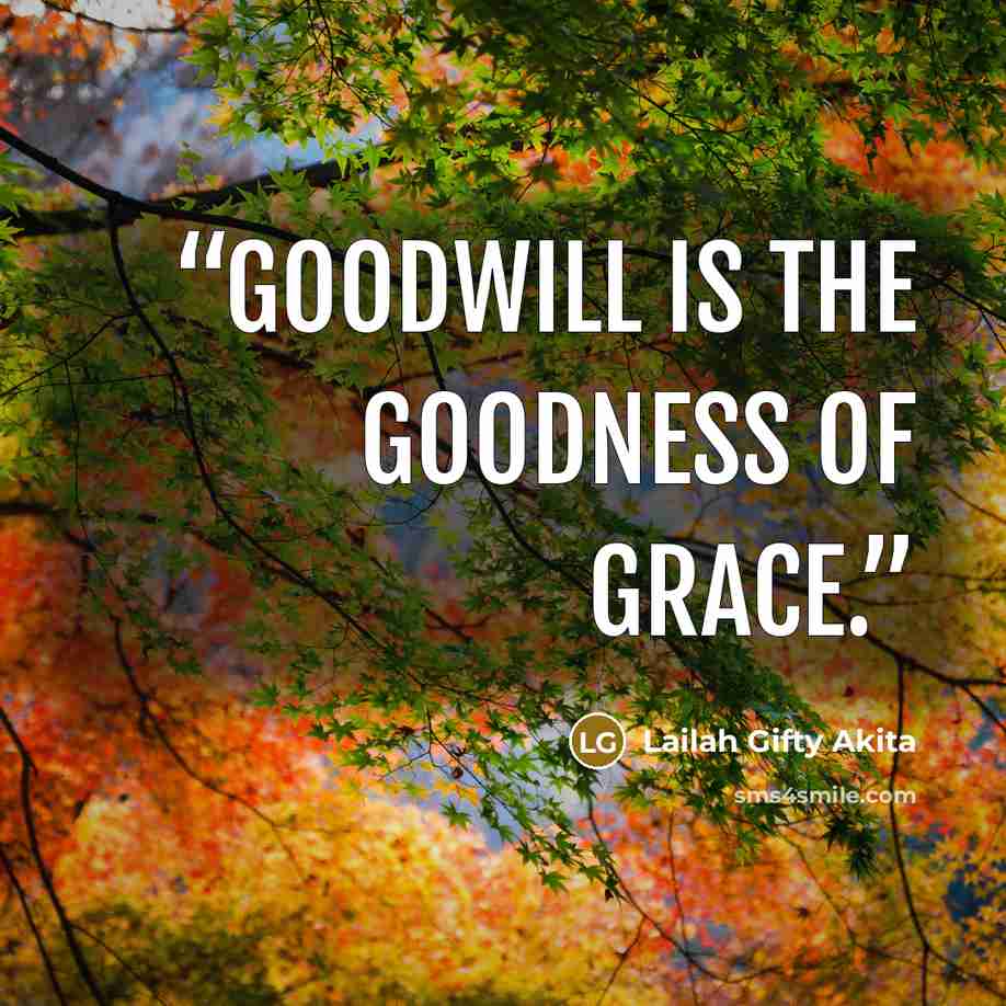 “Goodwill is the goodness of grace.” quote by Lailah Gifty Akita