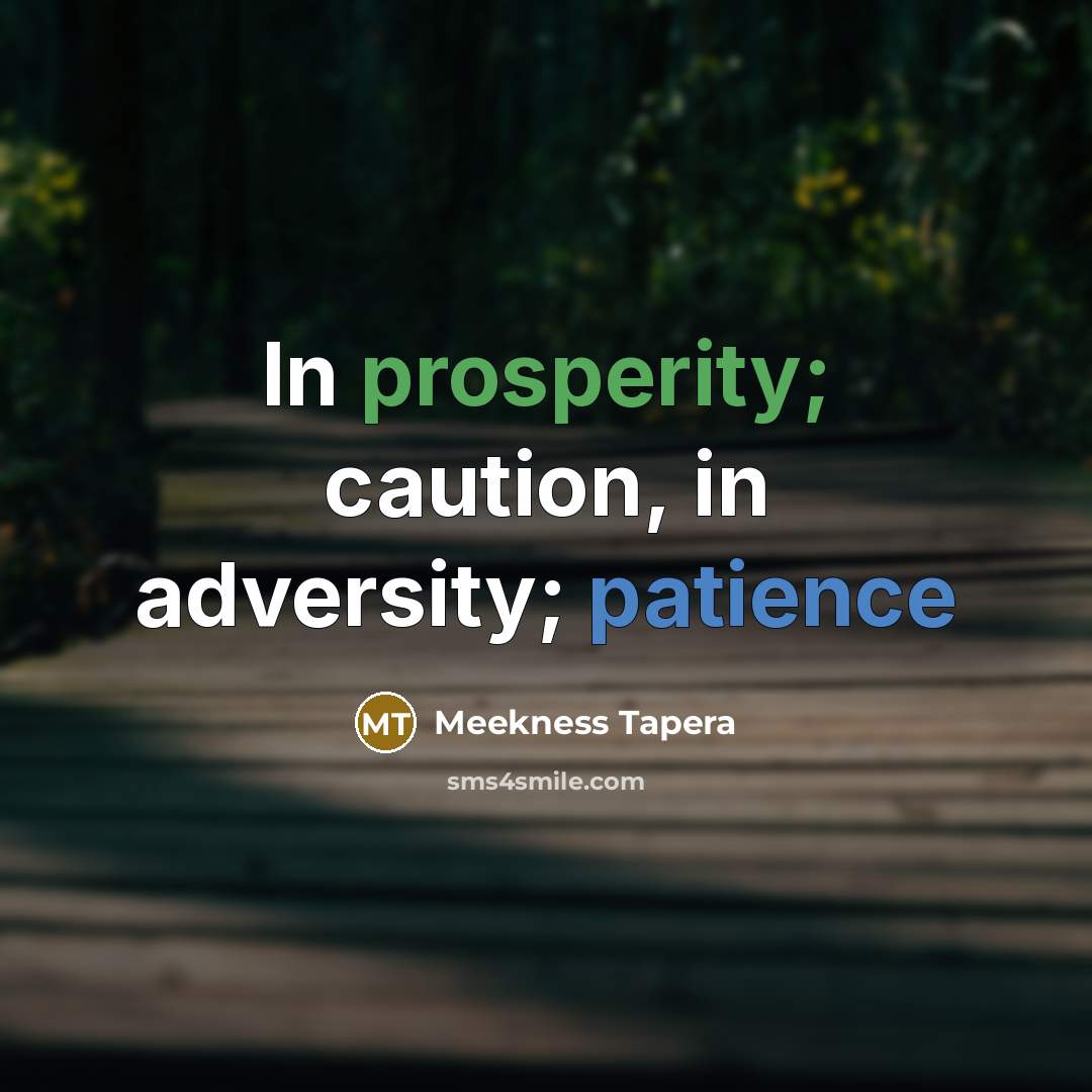“In prosperity; caution, in adversity; patience” quote by Meekness Tapera