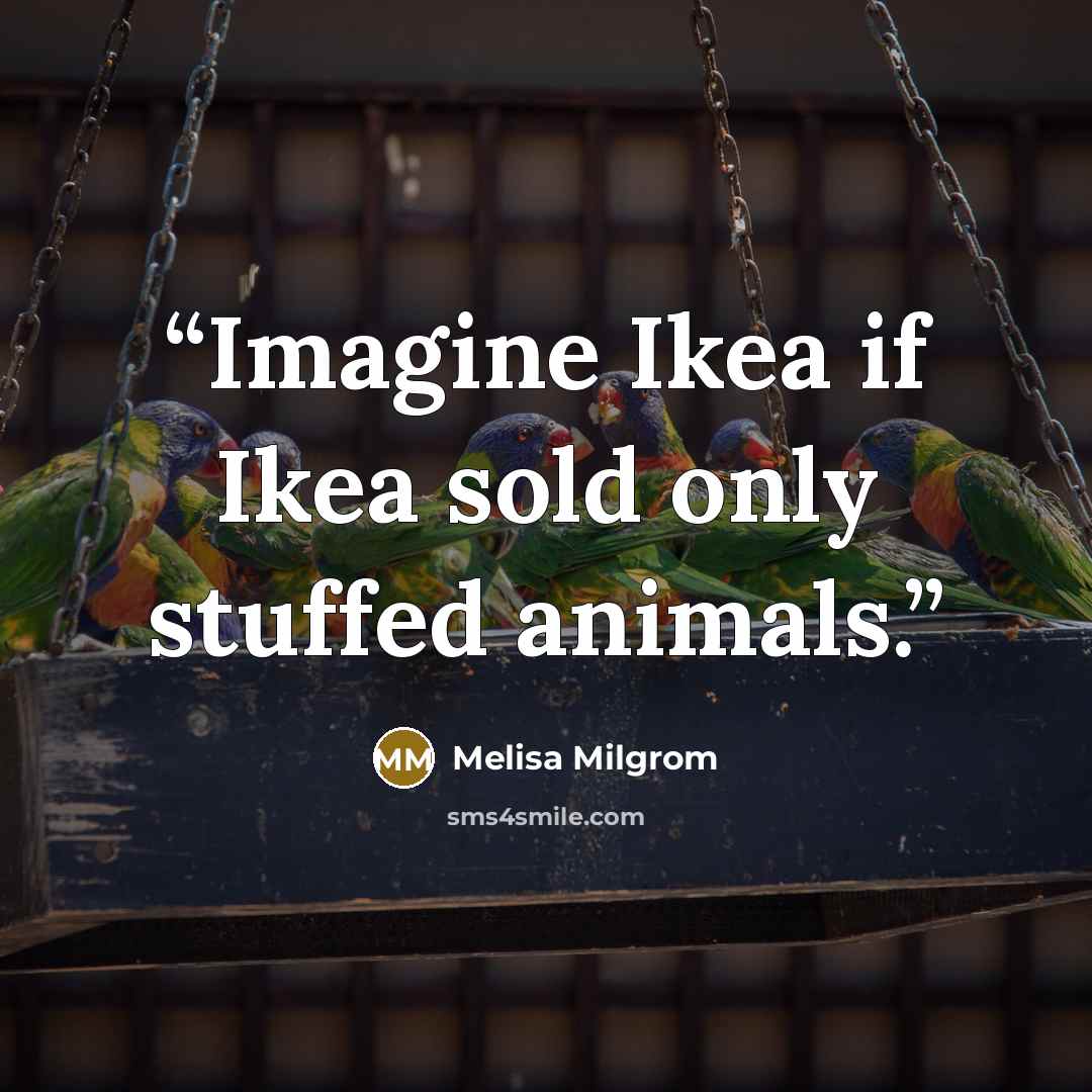“Imagine Ikea if Ikea sold only stuffed animals.” quote by Melisa Milgrom