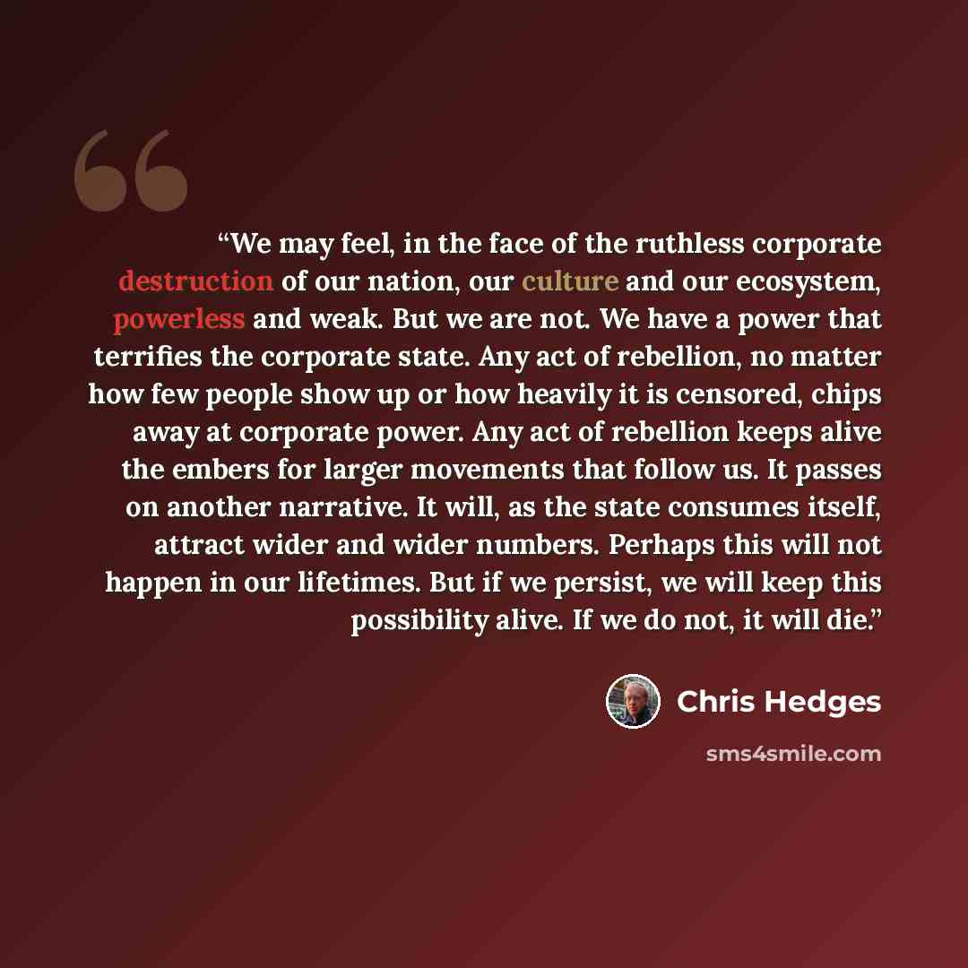 “We may feel, in the face of the ruthless corporate destruction of our nation, our culture and our ecosystem, powerless and weak. But we are not. We have a power that terrifies the corporate state. Any act of rebellion, no matter how few people show up or how heavily it is censored, chips away at…” quote by Chris Hedges
