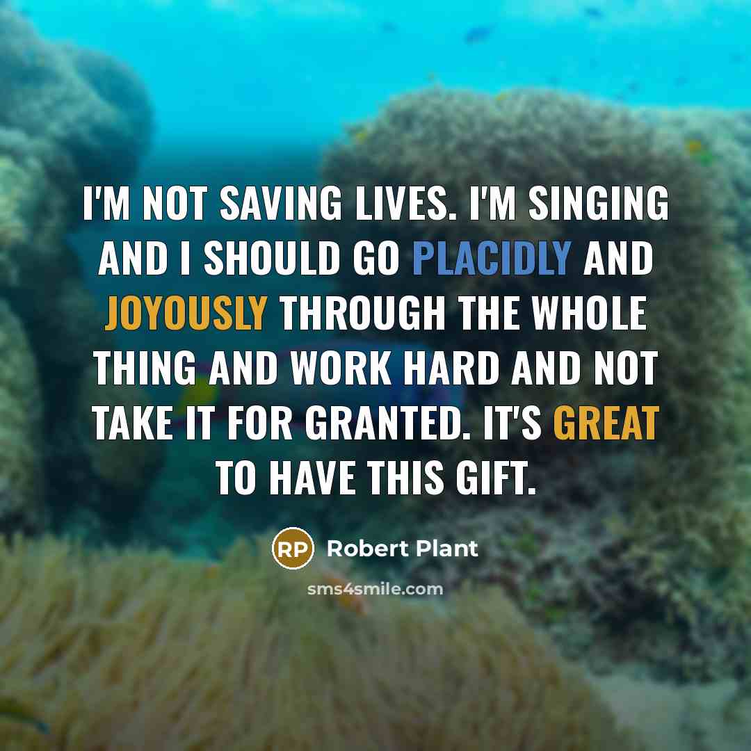 “I'm not saving lives. I'm singing and I should go placidly and joyously through the whole thing and work hard and not take it for granted. It's great to have this gift.” quote by Robert Plant