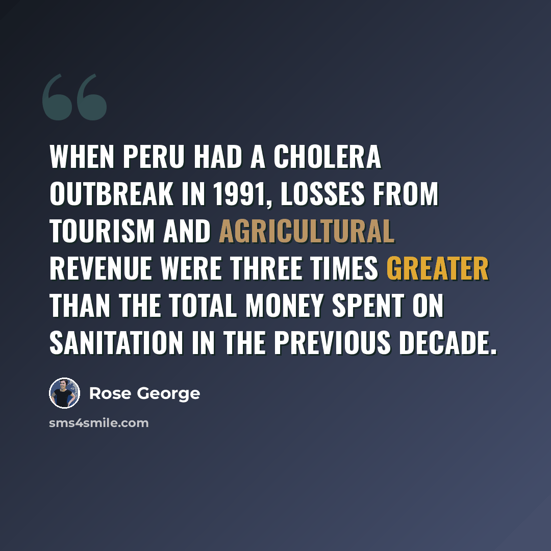“When Peru had a cholera outbreak in 1991, losses from tourism and agricultural revenue were three times greater than the total money spent on sanitation in the previous decade.” quote by Rose George