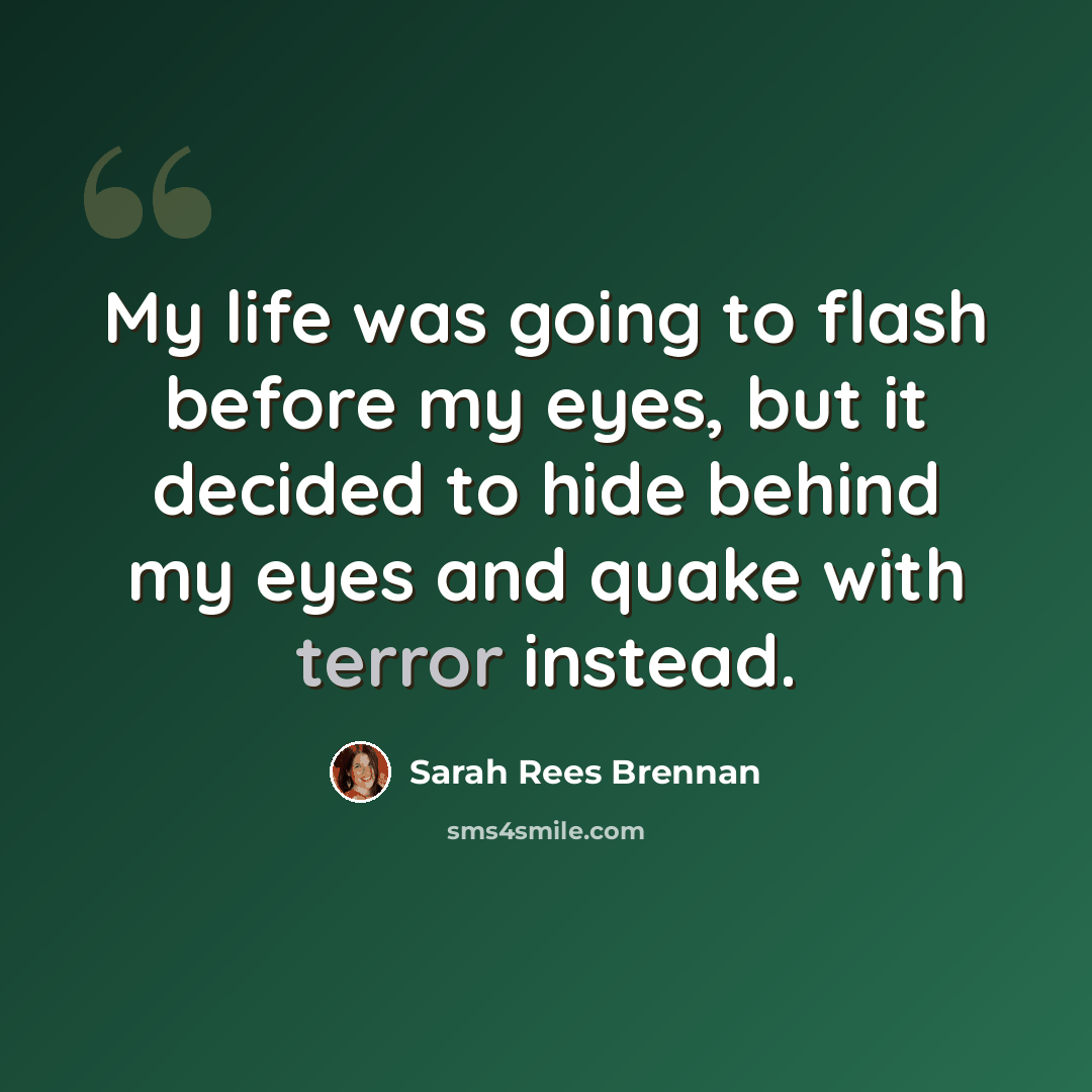 “My life was going to flash before my eyes, but it decided to hide behind my eyes and quake with terror instead.” quote by Sarah Rees Brennan