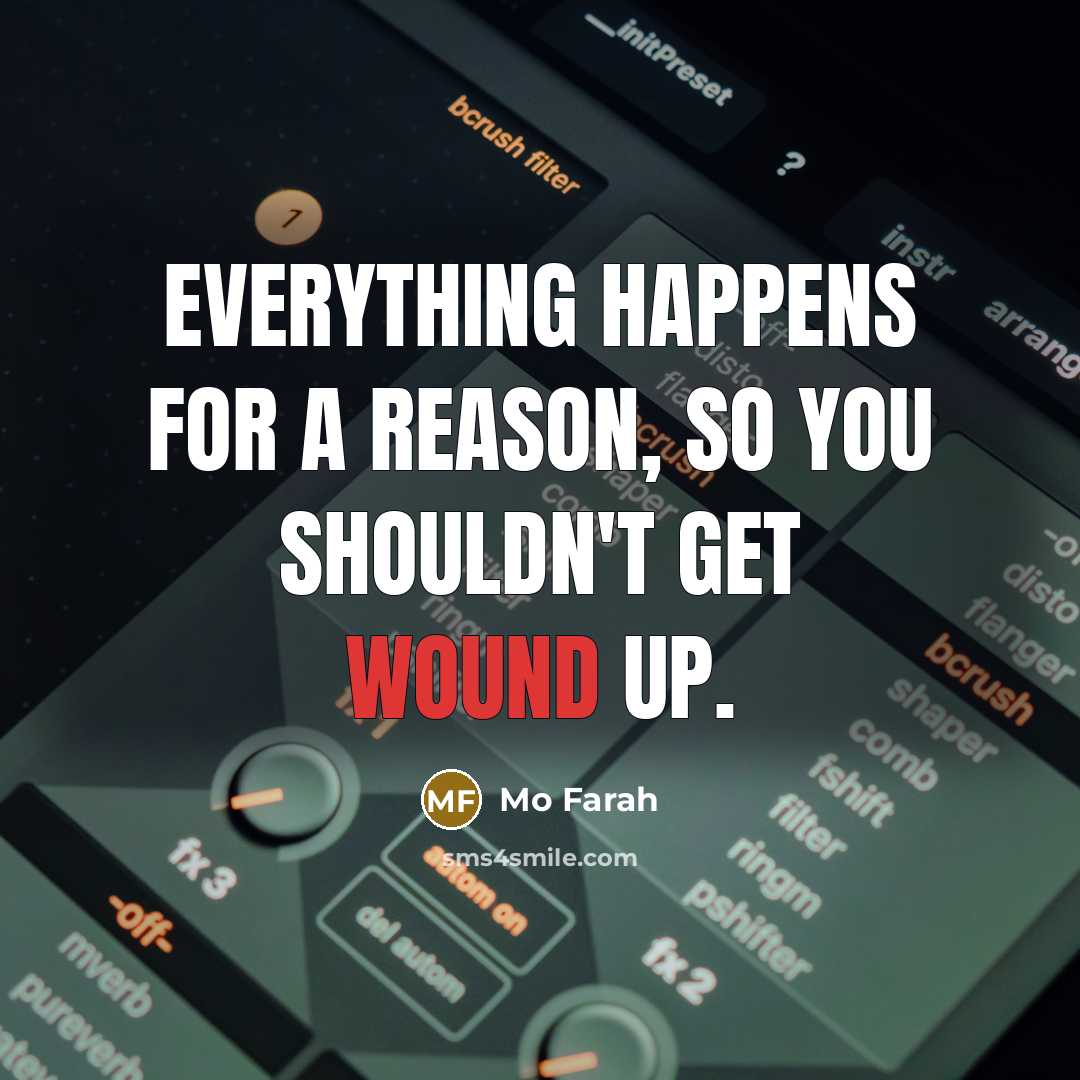 “Everything happens for a reason, so you shouldn't get wound up.” quote by Mo Farah