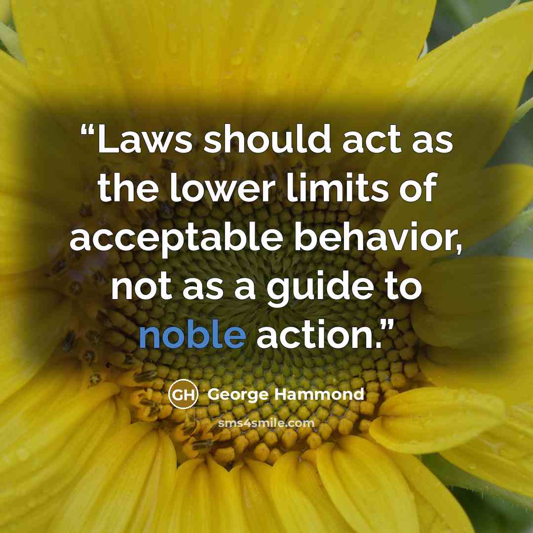 “Laws should act as the lower limits of acceptable behavior, not as a guide to noble action.” quote by George Hammond
