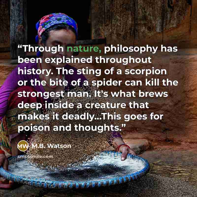 “Through nature, philosophy has been explained throughout history. The sting of a scorpion or the bite of a spider can kill the strongest man. It's what brews deep inside a creature that makes it deadly...This goes for poison and thoughts.” quote by M.B. Watson