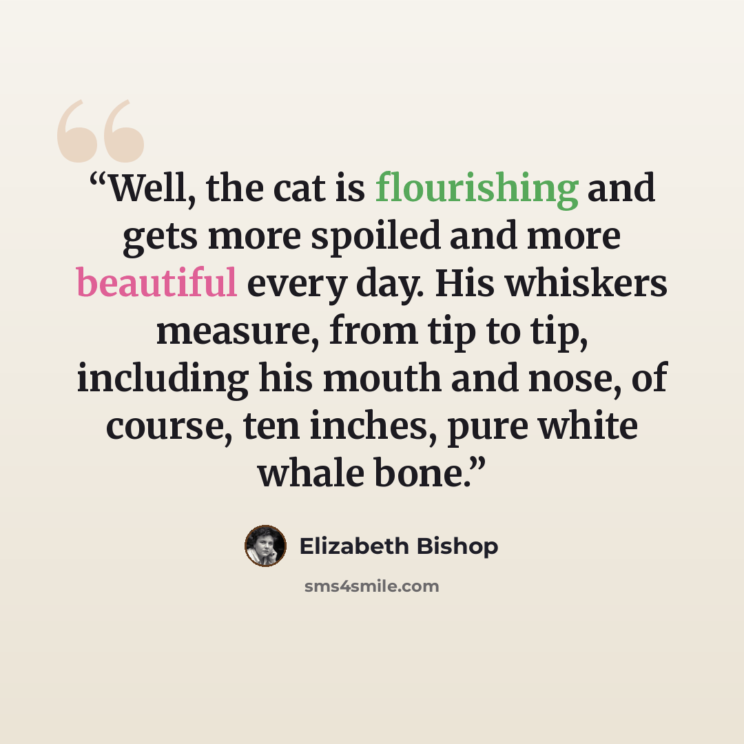“Well, the cat is flourishing and gets more spoiled and more beautiful every day. His whiskers measure, from tip to tip, including his mouth and nose, of course, ten inches, pure white whale bone.” quote by Elizabeth Bishop