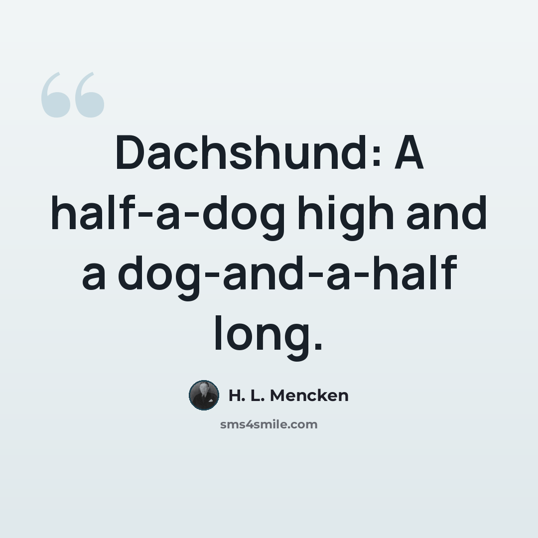 “Dachshund: A half-a-dog high and a dog-and-a-half long.” quote by H. L. Mencken