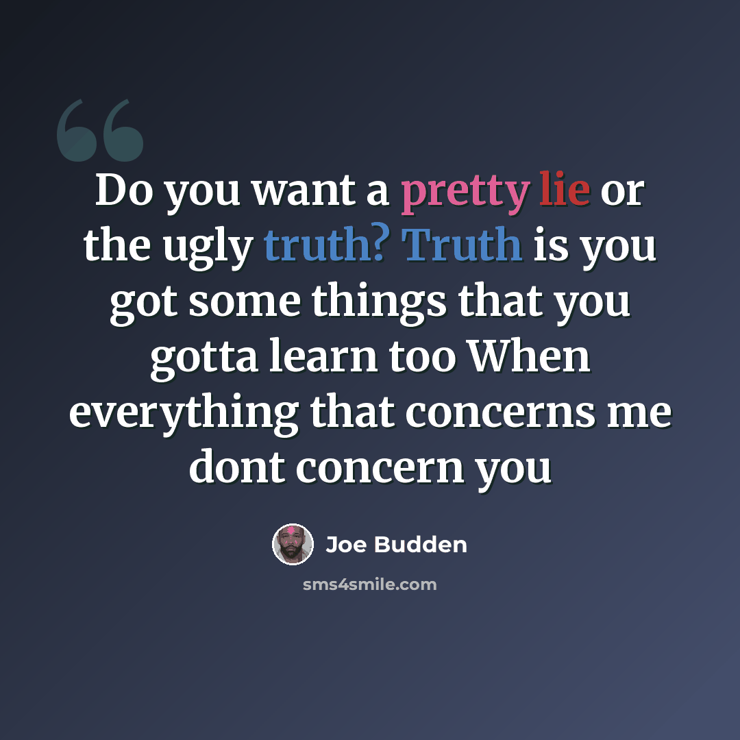 “Do you want a pretty lie or the ugly truth? Truth is you got some things that you gotta learn too When everything that concerns me dont concern you” quote by Joe Budden