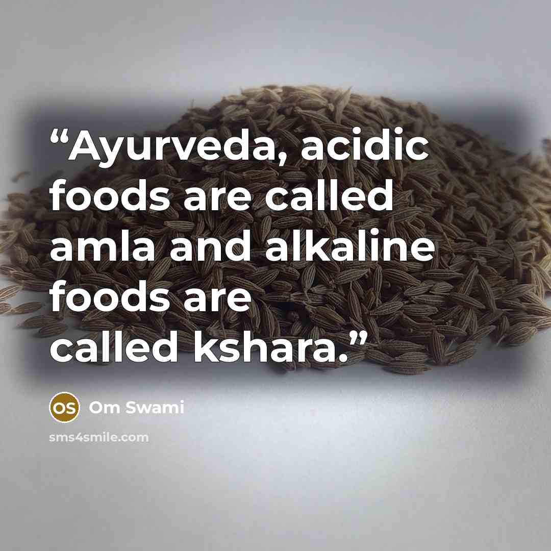 “Ayurveda, acidic foods are called amla and alkaline foods are called kshara.” quote by Om Swami