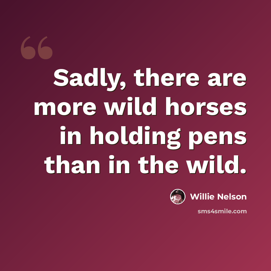 “Sadly, there are more wild horses in holding pens than in the wild.” quote by Willie Nelson