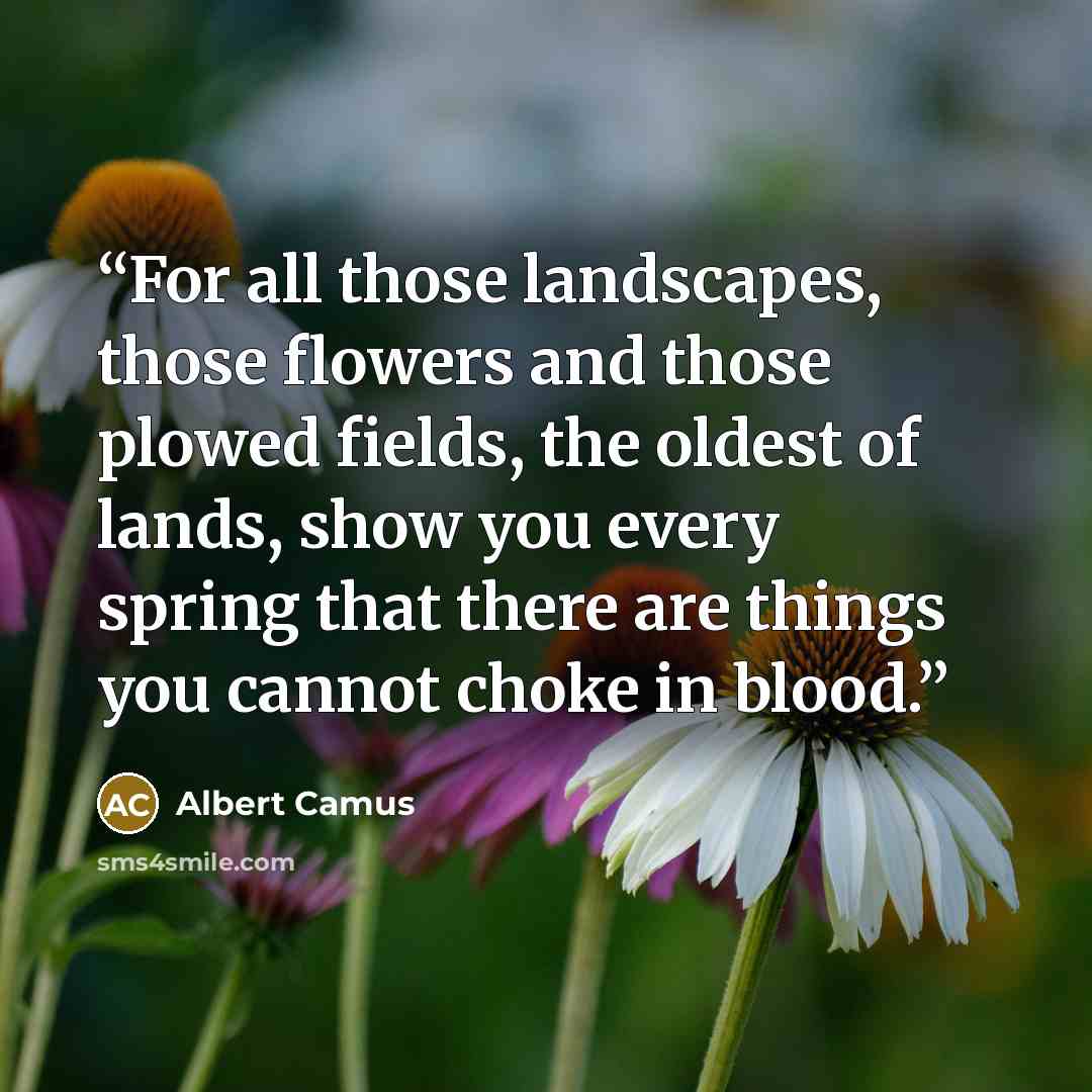 “For all those landscapes, those flowers and those plowed fields, the oldest of lands, show you every spring that there are things you cannot choke in blood.” quote by Albert Camus