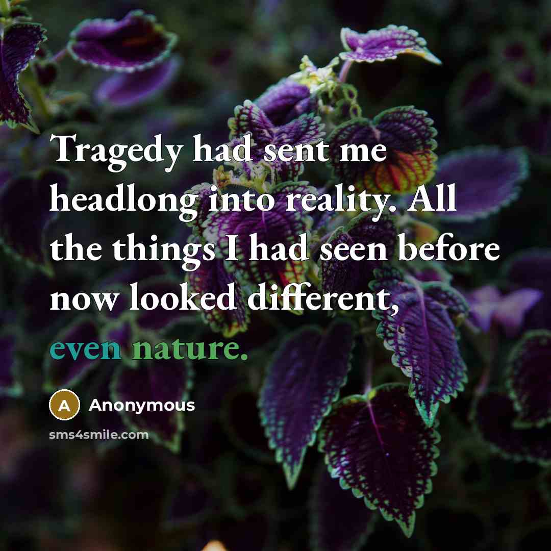 “Tragedy had sent me headlong into reality. All the things I had seen before now looked different, even nature.” quote by Anonymous