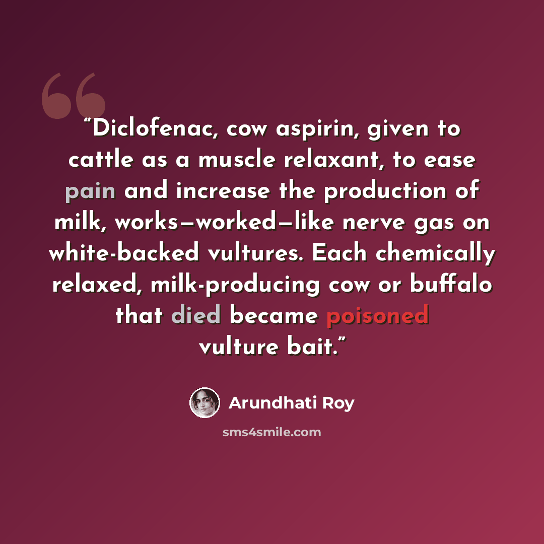 “Diclofenac, cow aspirin, given to cattle as a muscle relaxant, to ease pain and increase the production of milk, works—worked—like nerve gas on white-backed vultures. Each chemically relaxed, milk-producing cow or buffalo that died became poisoned vulture bait.” quote by Arundhati Roy