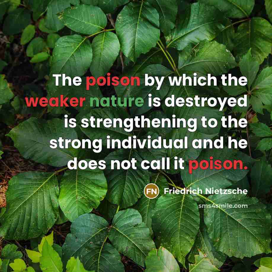 “The poison by which the weaker nature is destroyed is strengthening to the strong individual and he does not call it poison.” quote by Friedrich Nietzsche