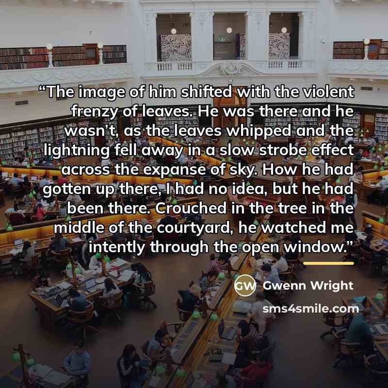 “The image of him shifted with the violent frenzy of leaves. He was there and he wasn’t, as the leaves whipped and the lightning fell away in a slow strobe effect across the expanse of sky. How he had gotten up there, I had no idea, but he had been there. Crouched in the tree in the middle of the…” quote by Gwenn Wright