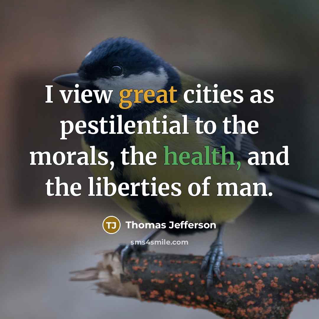 “I view great cities as pestilential to the morals, the health, and the liberties of man.” quote by Thomas Jefferson