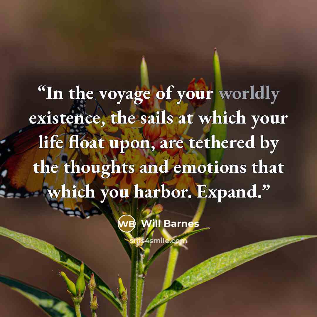 “In the voyage of your worldly existence, the sails at which your life float upon, are tethered by the thoughts and emotions that which you harbor. Expand.” quote by Will Barnes