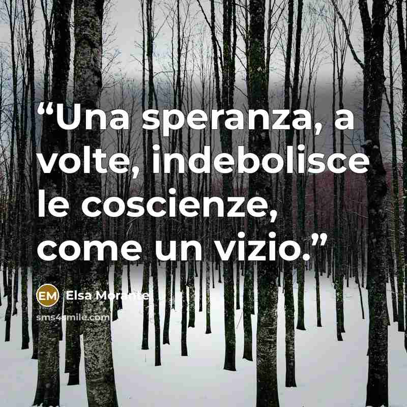 “Una speranza, a volte, indebolisce le coscienze, come un vizio.” quote by Elsa Morante