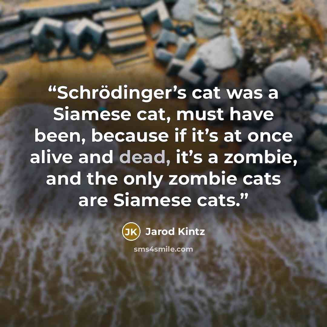 “Schrödinger’s cat was a Siamese cat, must have been, because if it’s at once alive and dead, it’s a zombie, and the only zombie cats are Siamese cats.” quote by Jarod Kintz