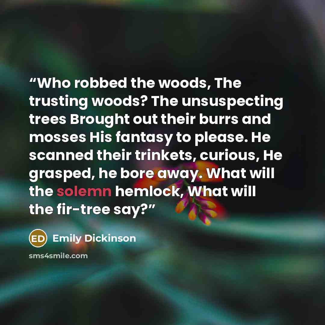 “Who robbed the woods, The trusting woods? The unsuspecting trees Brought out their burrs and mosses His fantasy to please. He scanned their trinkets, curious, He grasped, he bore away. What will the solemn hemlock, What will the fir-tree say?” quote by Emily Dickinson