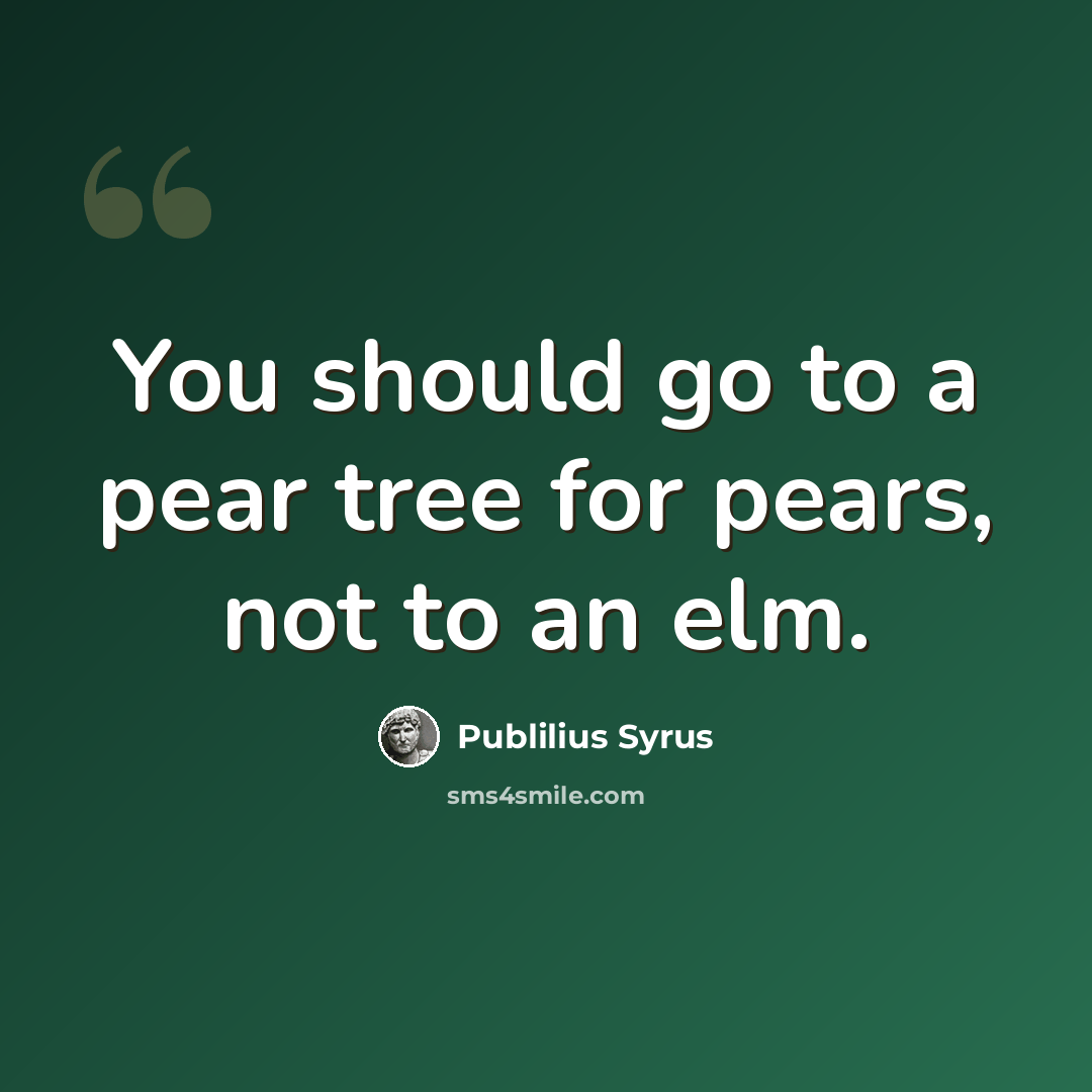 “You should go to a pear tree for pears, not to an elm.” quote by Publilius Syrus