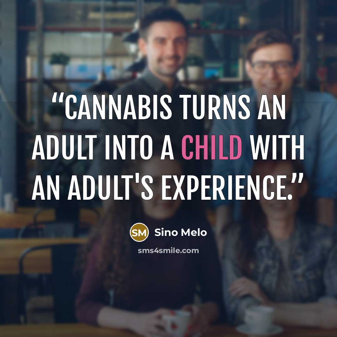 “Cannabis turns an Adult into a Child with an Adult's Experience.” quote by Sino Melo
