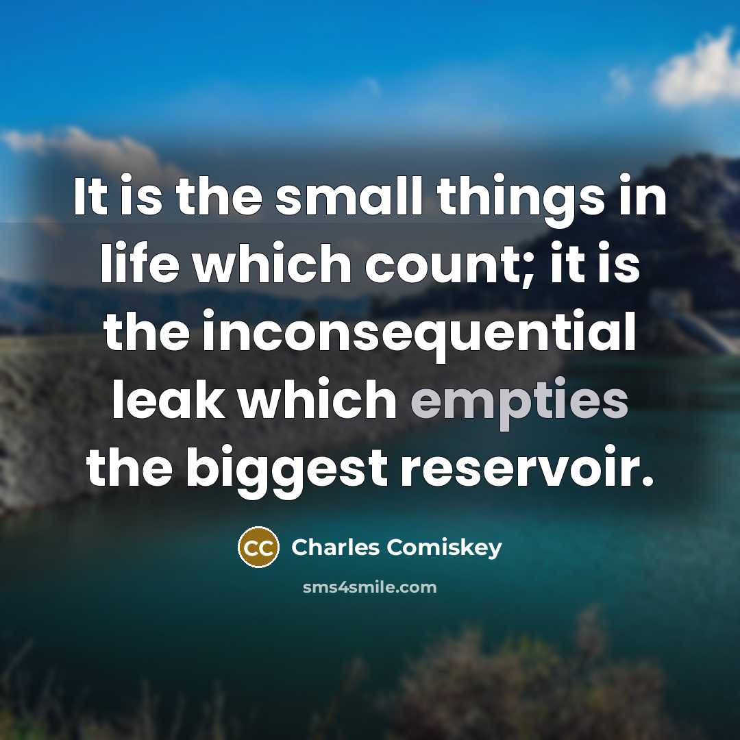 “It is the small things in life which count; it is the inconsequential leak which empties the biggest reservoir.” quote by Charles Comiskey