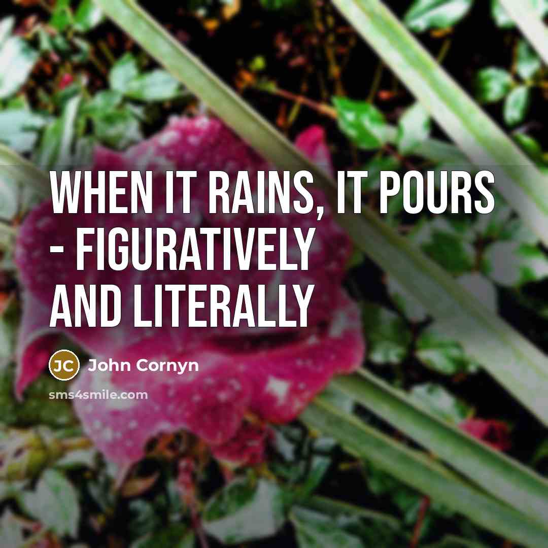 “When it rains, it pours - figuratively and literally” quote by John Cornyn