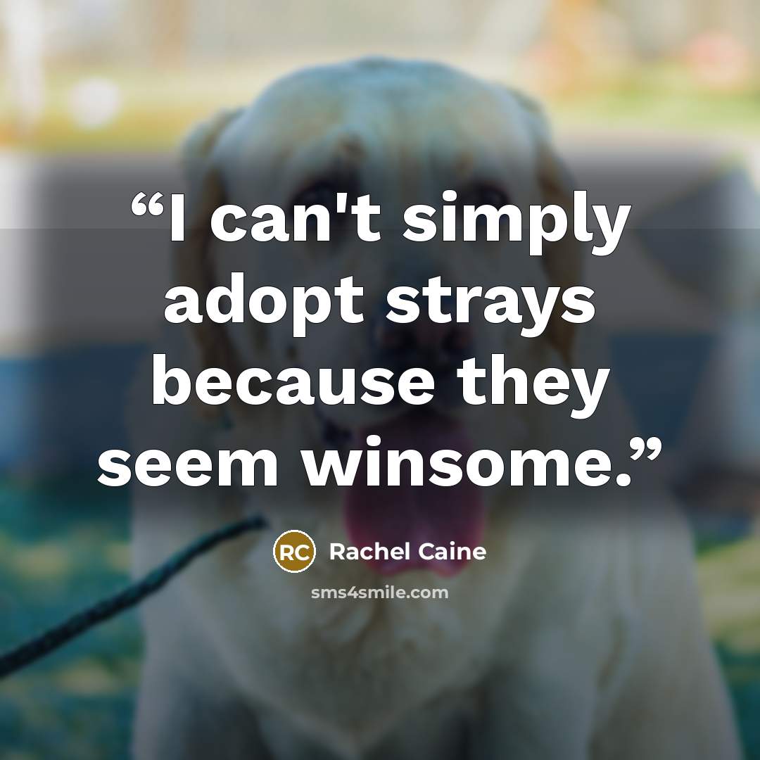“I can't simply adopt strays because they seem winsome.” quote by Rachel Caine