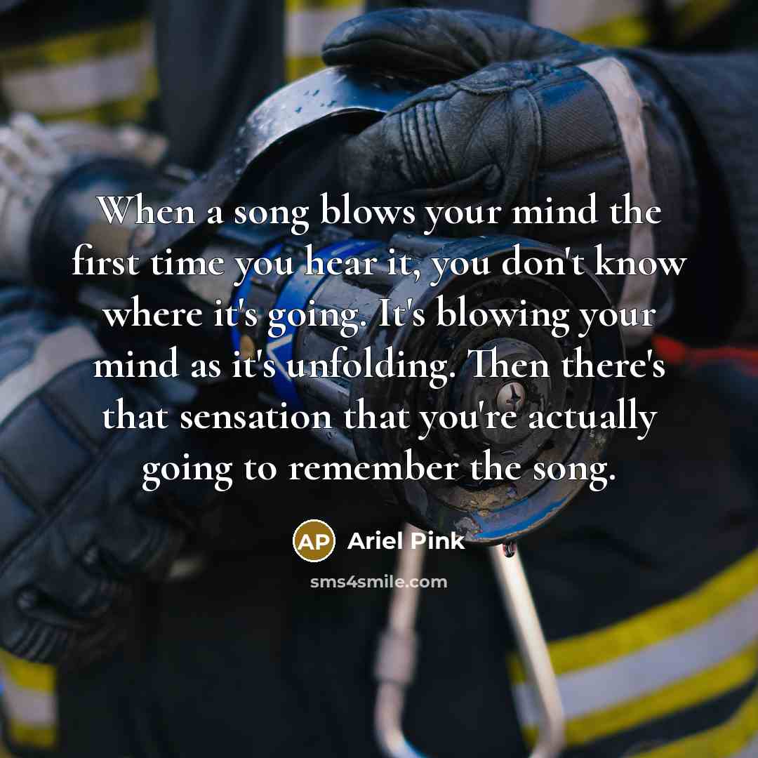 “When a song blows your mind the first time you hear it, you don't know where it's going. It's blowing your mind as it's unfolding. Then there's that sensation that you're actually going to remember the song.” quote by Ariel Pink