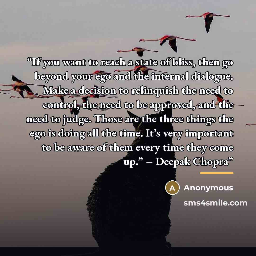 “If you want to reach a state of bliss, then go beyond your ego and the internal dialogue. Make a decision to relinquish the need to control, the need to be approved, and the need to judge. Those are the three things the ego is doing all the time. It’s very important to be aware of them every time…” quote by Anonymous