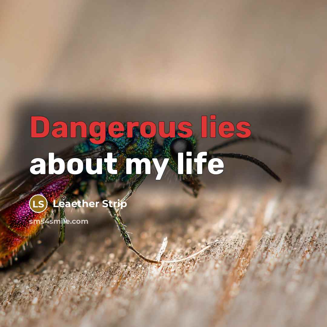 “Dangerous lies about my life” quote by Leaether Strip