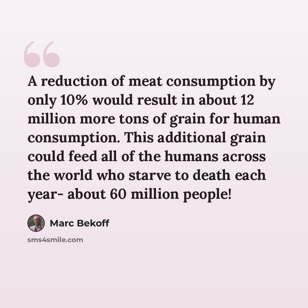 “A reduction of meat consumption by only 10% would result in about 12 million more tons of grain for human consumption. This additional grain could feed all of the humans across the world who starve to death each year- about 60 million people!” quote by Marc Bekoff