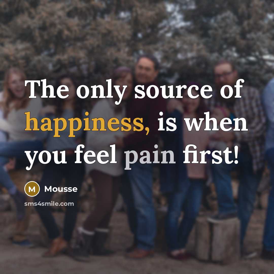 “The only source of happiness, is when you feel pain first!” quote by Mousse
