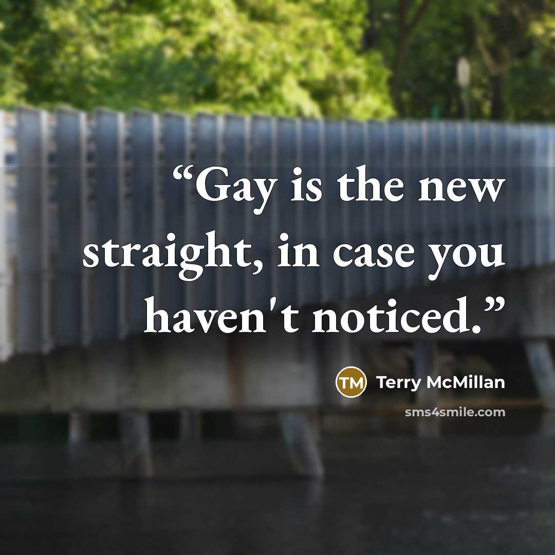 “Gay is the new straight, in case you haven't noticed.” quote by Terry McMillan