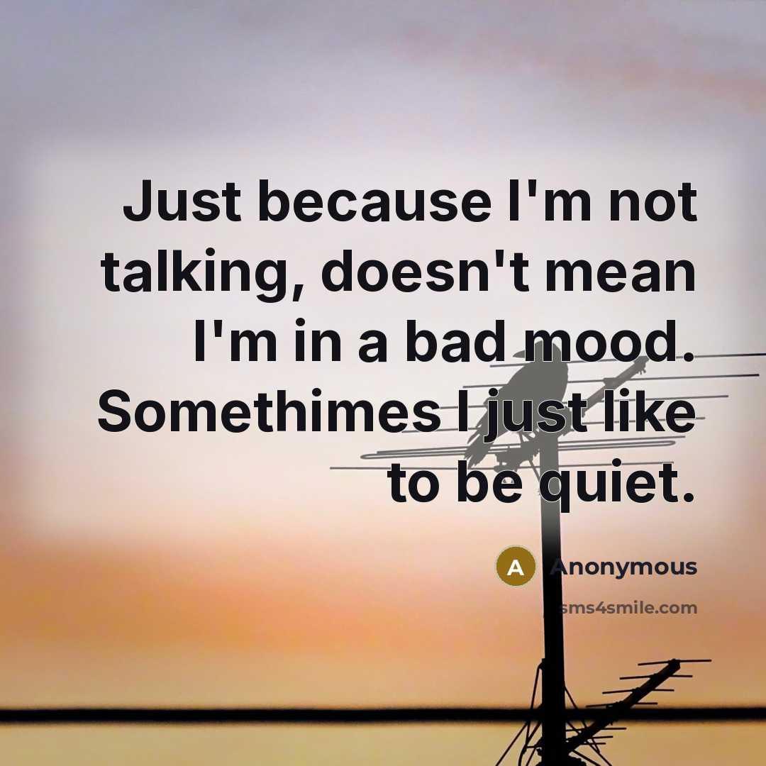 “Just because I'm not talking, doesn't mean I'm in a bad mood. Somethimes I just like to be quiet.” quote by Anonymous